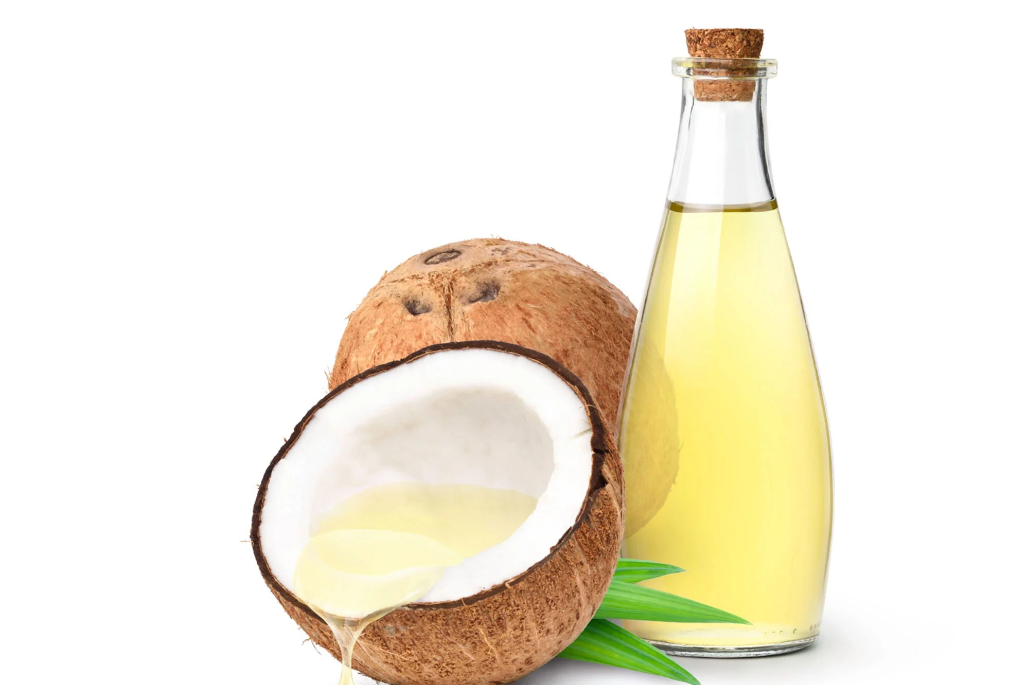 Expert Coconut oil processing