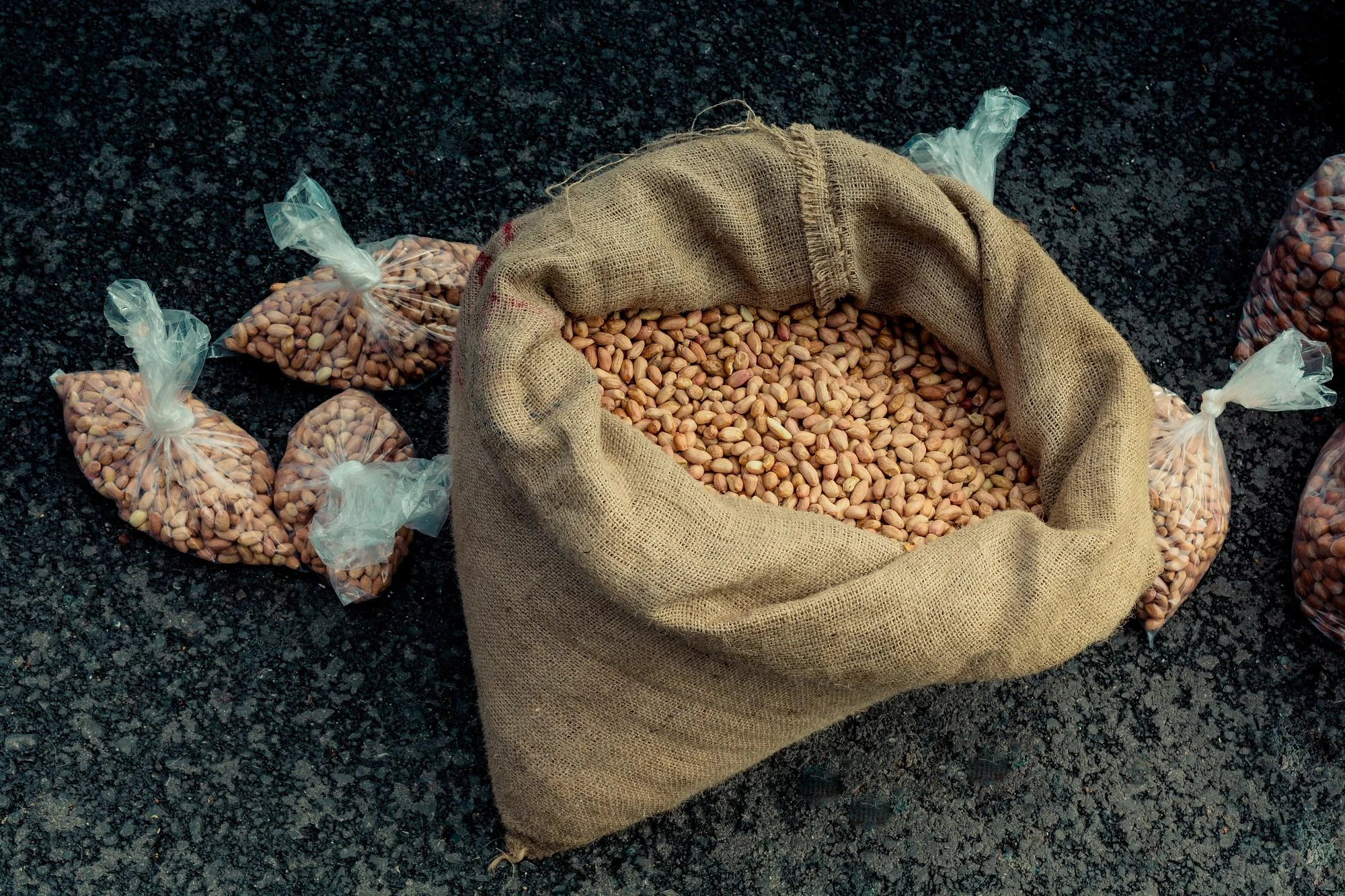 Expert Groundnut oil processing