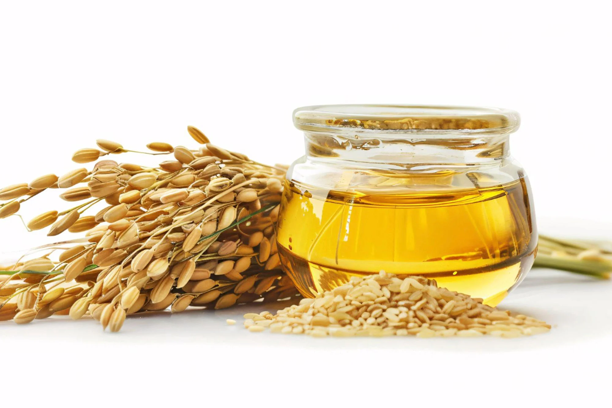 Expert Rice bran oil processing